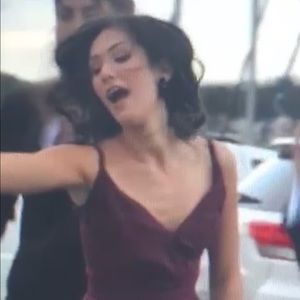 Meet your Posher, Gracie